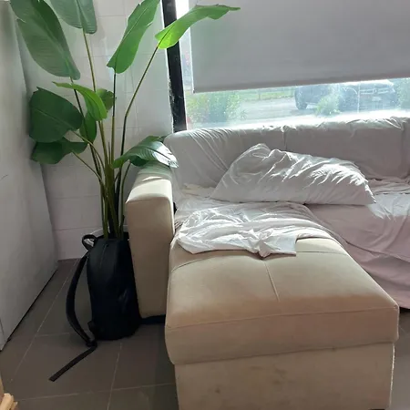 Apartman Masc87 Bolo